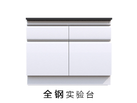 全鋼制結(jié)構(gòu)實驗桌
